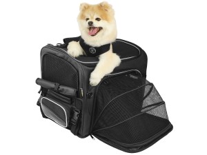 Photo of Rover Pet Carrier on white background, dog coming out of top